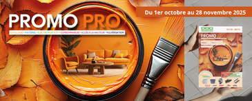 Feuilletez en ligne la Promo Pro !